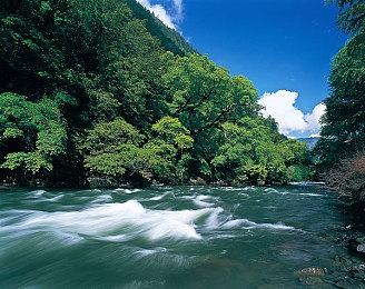 《收获日》开发商新作《Den of Wolves》来袭，最新预告片已放出