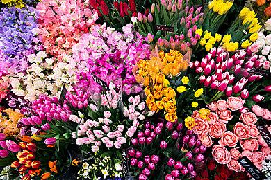 《无主之地4》总监：如果你是真粉丝 80美元也会买