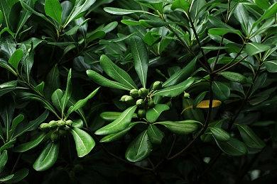 复古日漫风太空科幻叙事冒险游戏《星舰铳犬 太阳系物语》现已正式发售 获特别好评